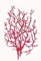 Red Reef Coral I | Obraz na stenu