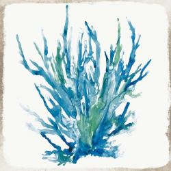 Blue Coral I | Obraz na stenu