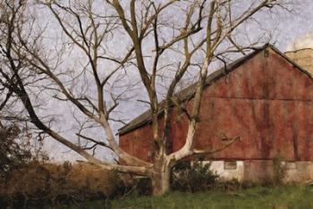 The Old Barn | Obraz na stenu
