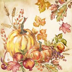 Watercolor Harvest Pumpkins I | Obraz na stenu