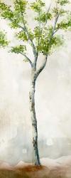 Watercolor Birch Trees II | Obraz na stenu
