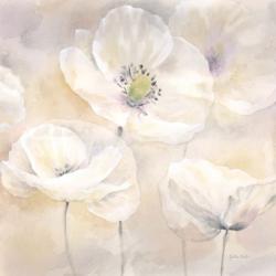 White Poppies I | Obraz na stenu