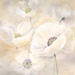 White Poppies II | Obraz na stenu