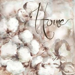 Cotton Boll Triptych Sentiment I (Home) | Obraz na stenu
