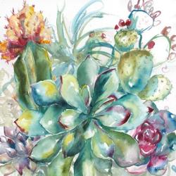 Succulent Garden Watercolor I | Obraz na stenu