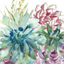 Succulent Garden Watercolor II | Obraz na stenu