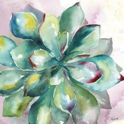 Succulent Watercolor I | Obraz na stenu