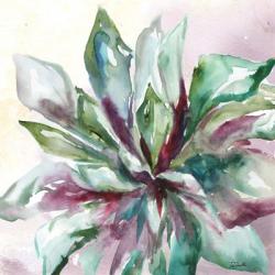 Succulent Watercolor II | Obraz na stenu