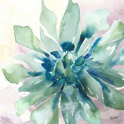 Succulent Watercolor III | Obraz na stenu
