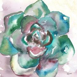 Succulent Watercolor IV | Obraz na stenu