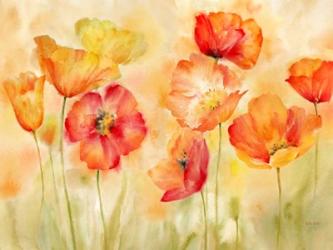 Watercolor Poppy Meadow Spice Landscape | Obraz na stenu