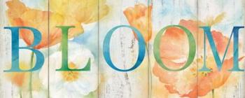 Watercolor Poppy Meadow Bloom Sign | Obraz na stenu
