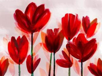 Contemporary Poppies Red | Obraz na stenu