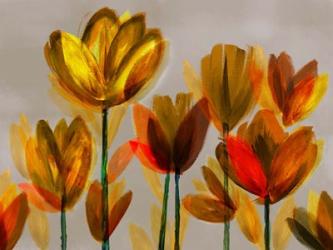 Contemporary Poppies Yellow | Obraz na stenu