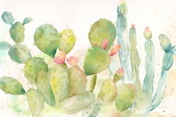 Cactus Garden Landscape | Obraz na stenu