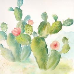 Cactus Garden III | Obraz na stenu