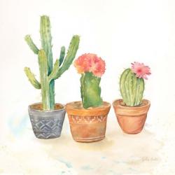 Cactus Pots III | Obraz na stenu