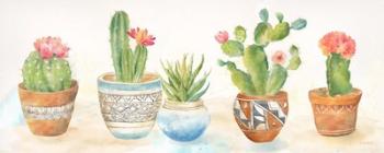 Cactus Pots | Obraz na stenu