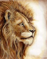 Lion Portrait | Obraz na stenu