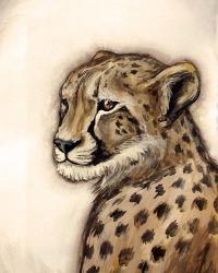 Cheetah Portrait | Obraz na stenu