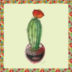 Rainbow Cactus I | Obraz na stenu
