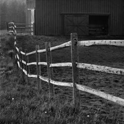 Barn Fence | Obraz na stenu