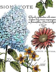 Botanical Postcard Color I | Obraz na stenu