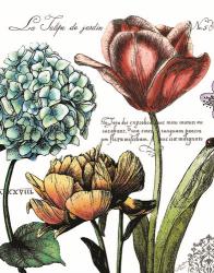 Botanical Postcard Color IV | Obraz na stenu
