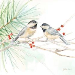 Winter Birds II Chickadees | Obraz na stenu