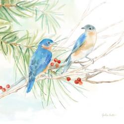 Winter Birds III Bluebirds | Obraz na stenu