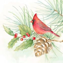 Winter Birds IV Cardinal | Obraz na stenu