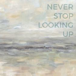 Never Stop Looking Up | Obraz na stenu