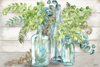 Vintage Bottles and Ferns Landscape | Obraz na stenu