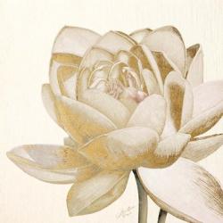 Vintage Lotus Cream II | Obraz na stenu