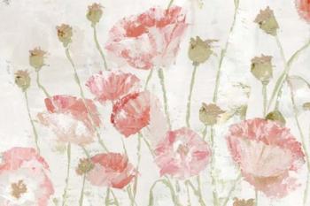 Poppies in the Wind Blush Landscape | Obraz na stenu