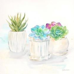 Sweet Succulent Pots IV | Obraz na stenu