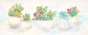 Sweet Succulents Panel | Obraz na stenu