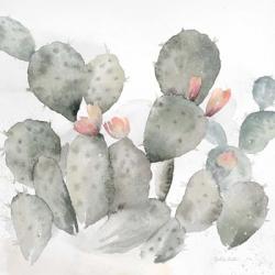 Cactus Garden Gray Blush I | Obraz na stenu