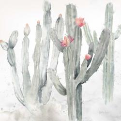 Cactus Garden Gray Blush II | Obraz na stenu