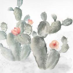 Cactus Garden Gray Blush III | Obraz na stenu