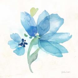 Blue Poppy Field Single IV | Obraz na stenu