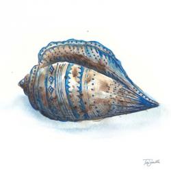 Bohemian Shells II | Obraz na stenu