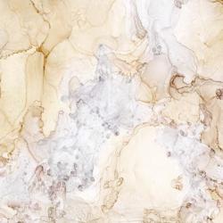 Neutral Beauty Taupe | Obraz na stenu