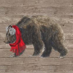 Warm in the Wilderness Bear | Obraz na stenu
