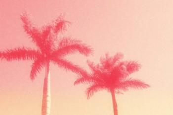 Palm Trees in Pink | Obraz na stenu