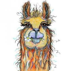 Llama with Daisy | Obraz na stenu