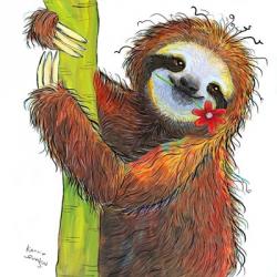 Sloth with Red Flower | Obraz na stenu