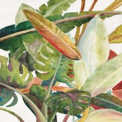 Tropical Lush Garden Square II | Obraz na stenu