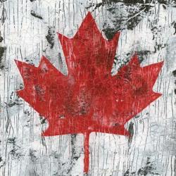 Canada Maple Leaf I | Obraz na stenu