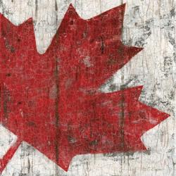 Canada Maple Leaf II | Obraz na stenu